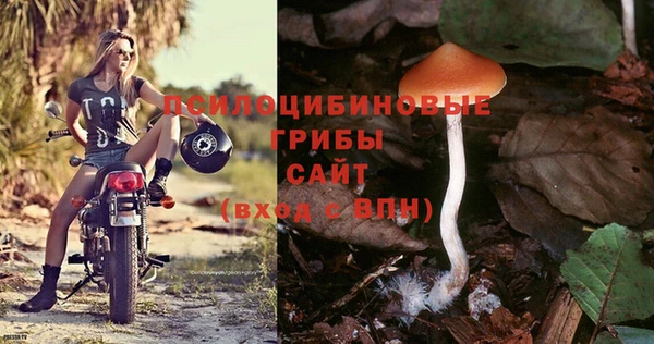 стафф Абинск